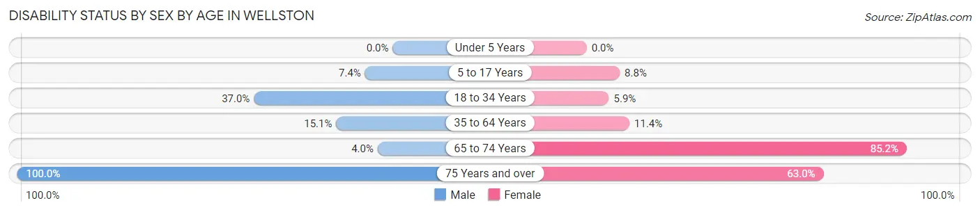 Disability Status by Sex by Age in Wellston
