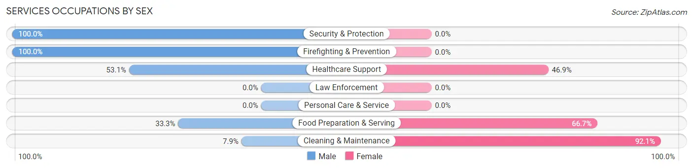 Services Occupations by Sex in Wellston