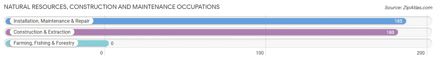 Natural Resources, Construction and Maintenance Occupations in West Plains