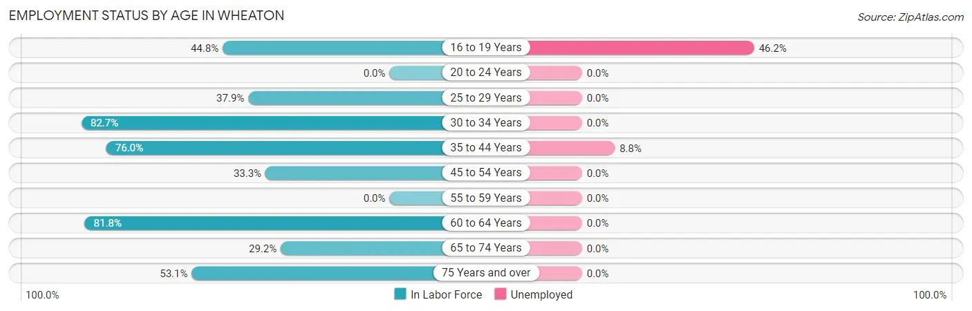 Employment Status by Age in Wheaton