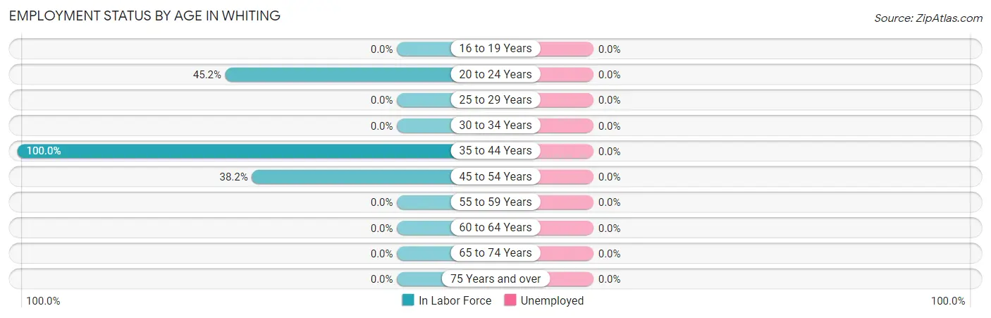 Employment Status by Age in Whiting