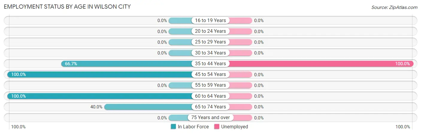 Employment Status by Age in Wilson City