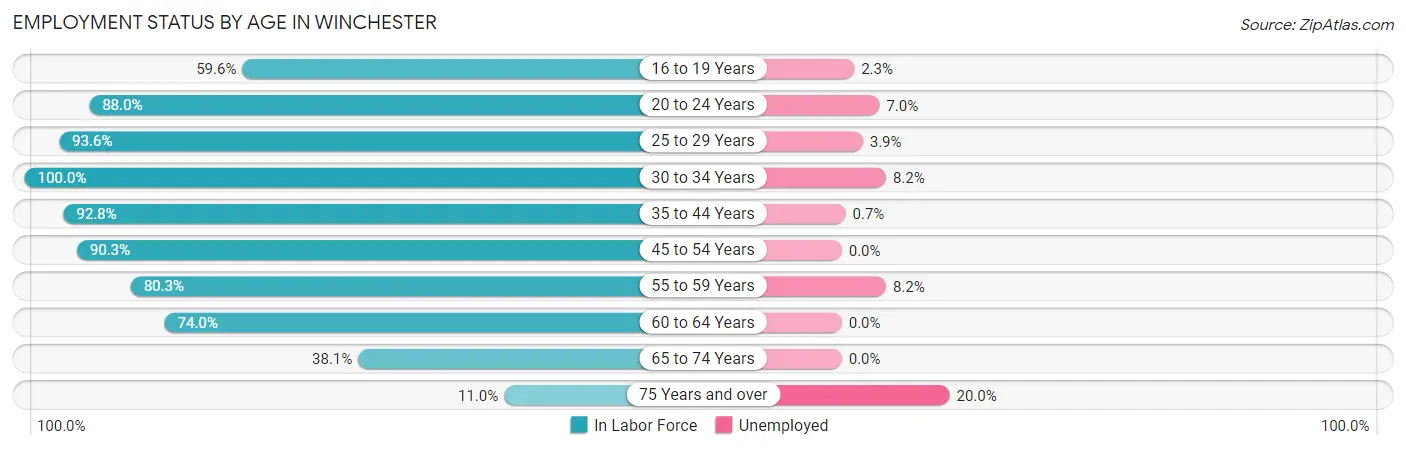 Employment Status by Age in Winchester