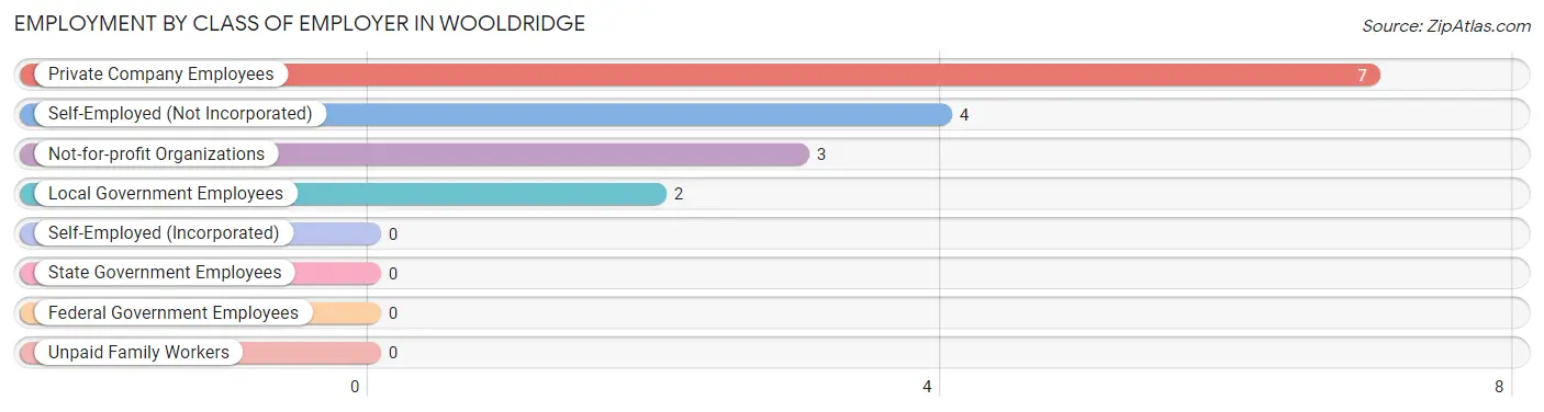 Employment by Class of Employer in Wooldridge