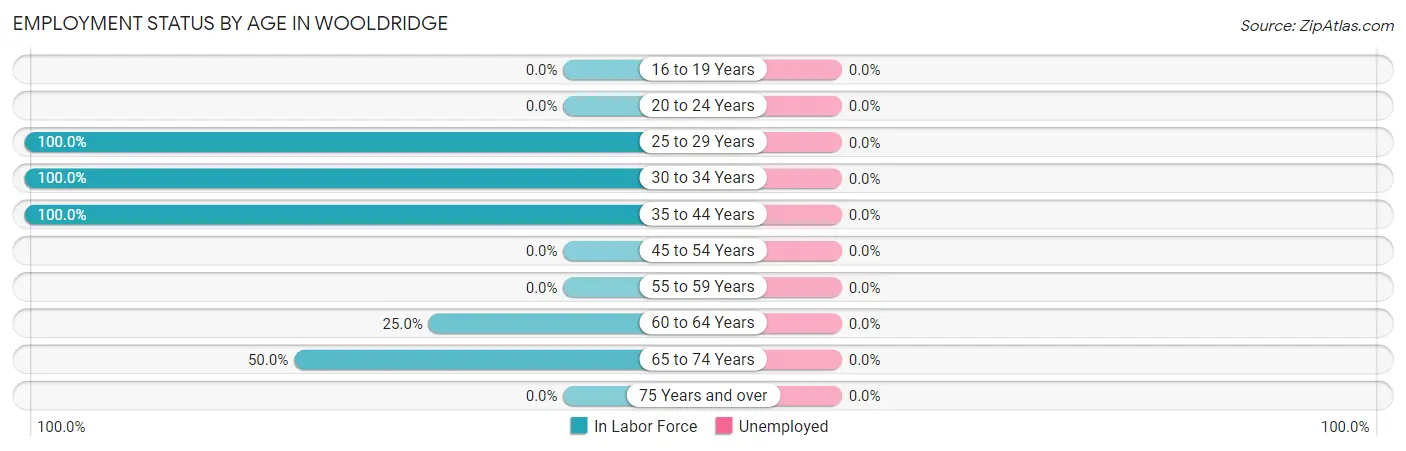 Employment Status by Age in Wooldridge