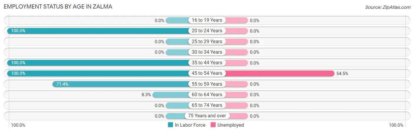 Employment Status by Age in Zalma