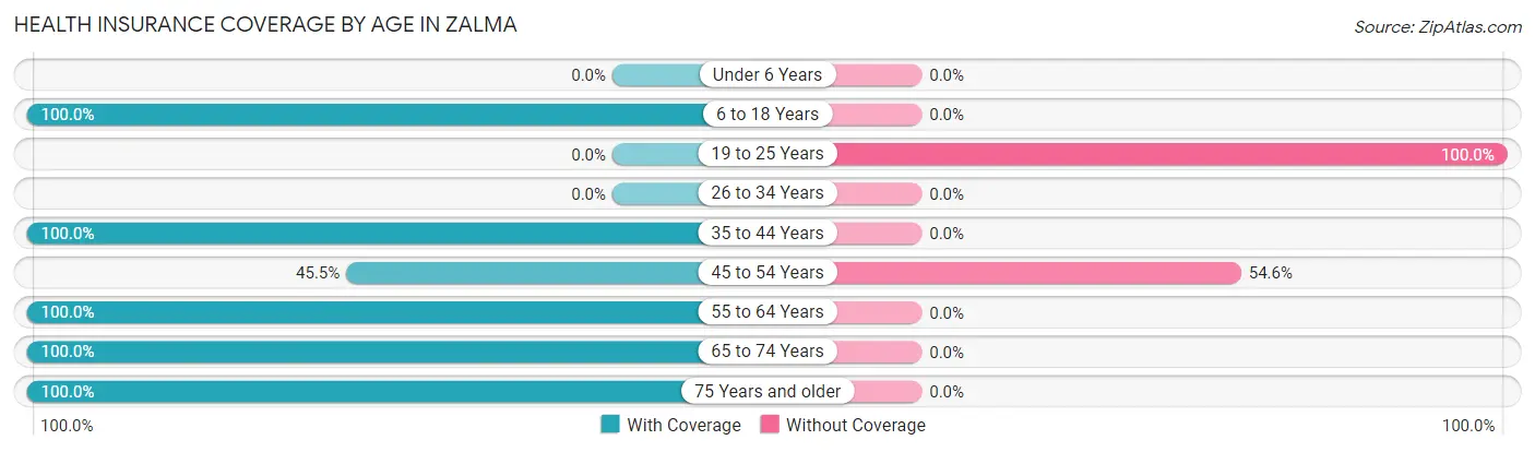 Health Insurance Coverage by Age in Zalma