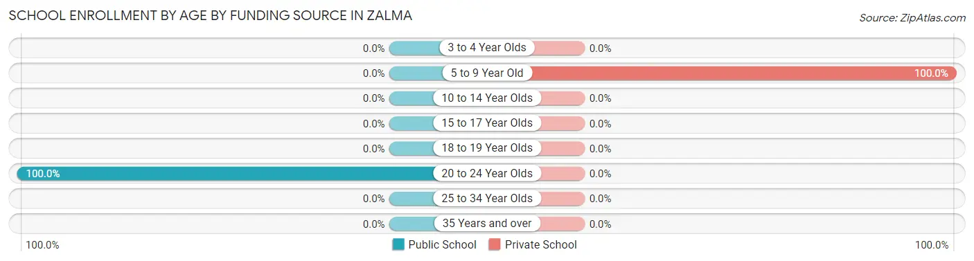 School Enrollment by Age by Funding Source in Zalma