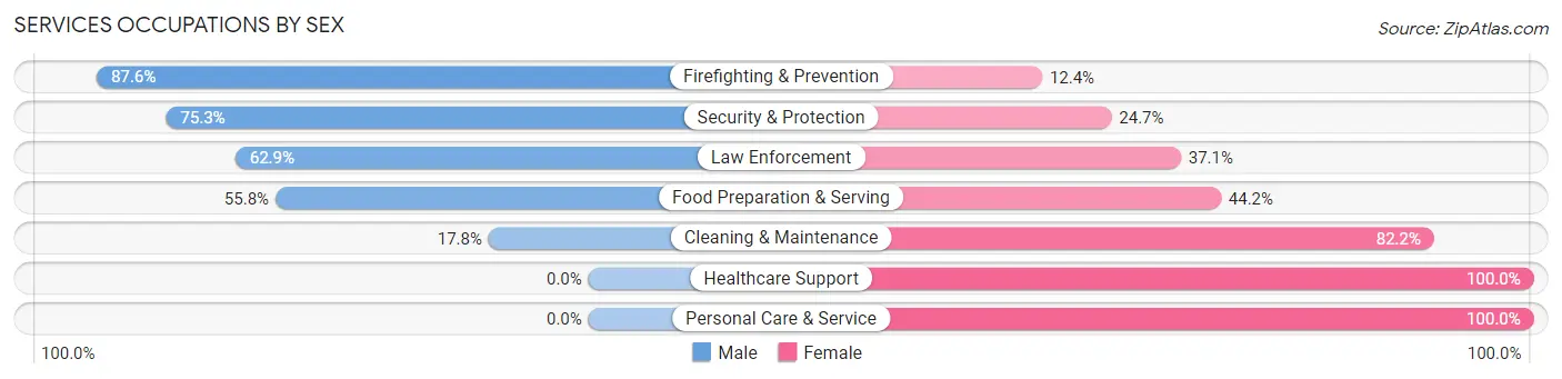 Services Occupations by Sex in Bay St Louis