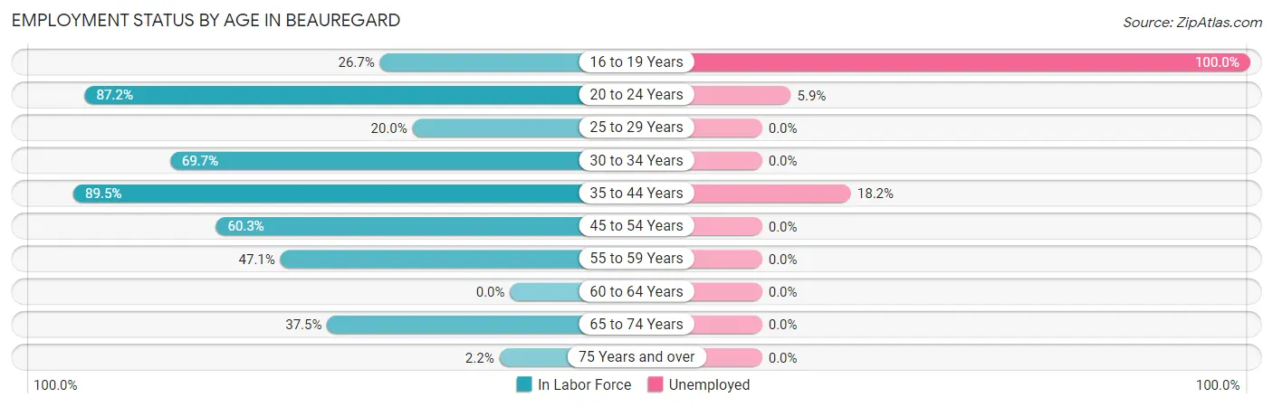 Employment Status by Age in Beauregard