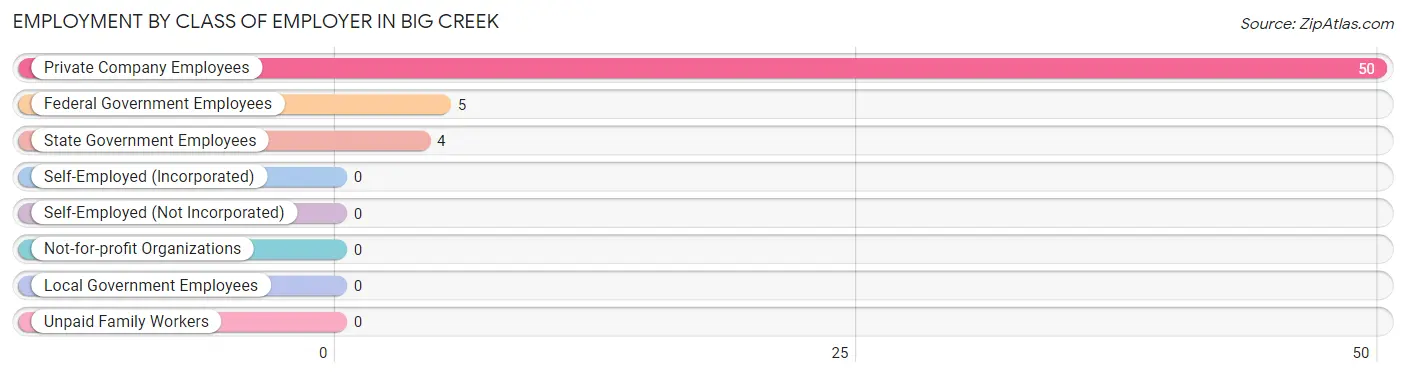 Employment by Class of Employer in Big Creek