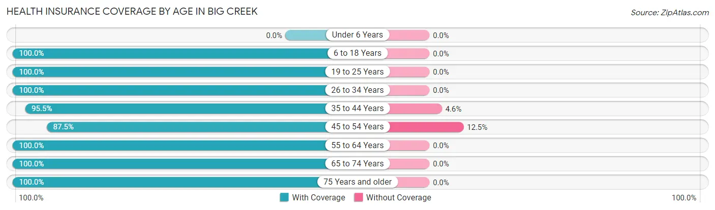 Health Insurance Coverage by Age in Big Creek