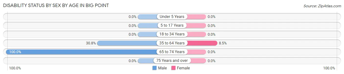 Disability Status by Sex by Age in Big Point