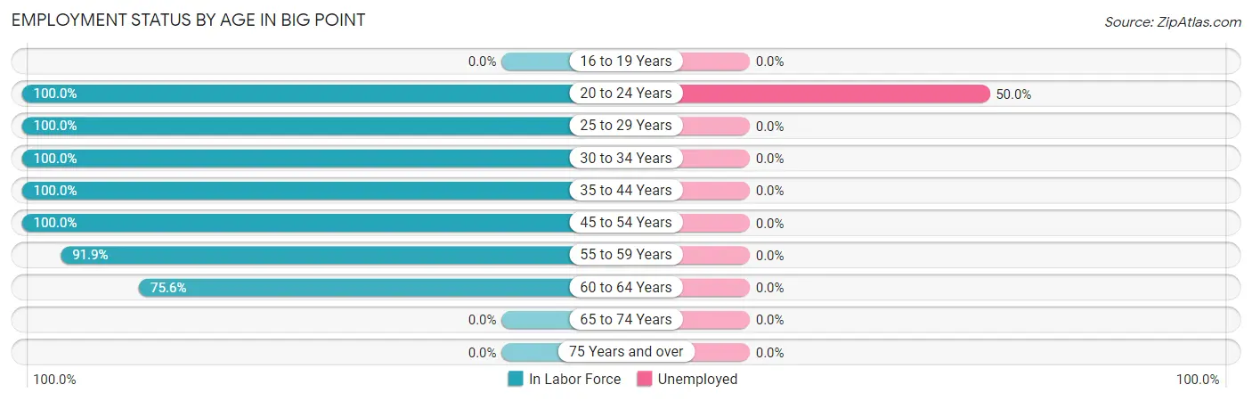 Employment Status by Age in Big Point