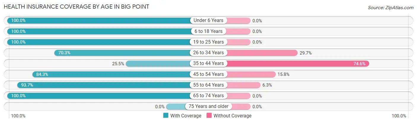 Health Insurance Coverage by Age in Big Point