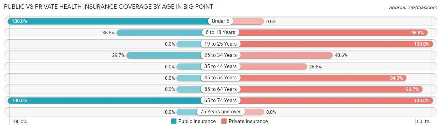 Public vs Private Health Insurance Coverage by Age in Big Point