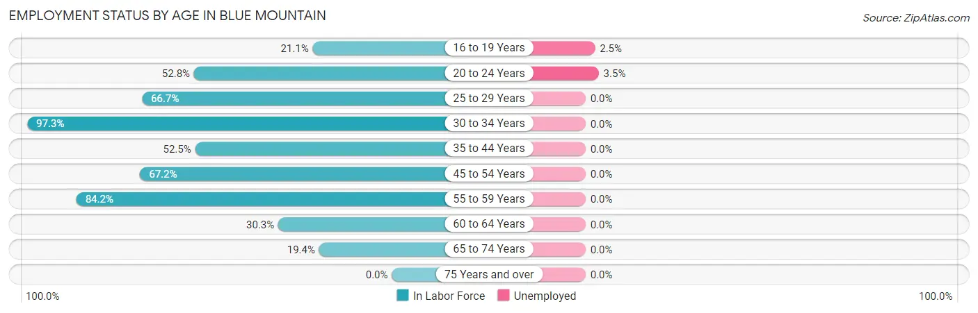 Employment Status by Age in Blue Mountain