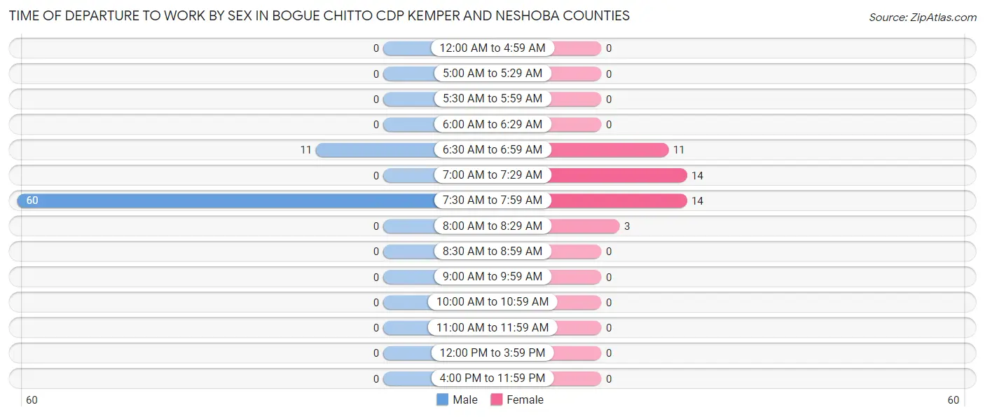 Time of Departure to Work by Sex in Bogue Chitto CDP Kemper and Neshoba Counties