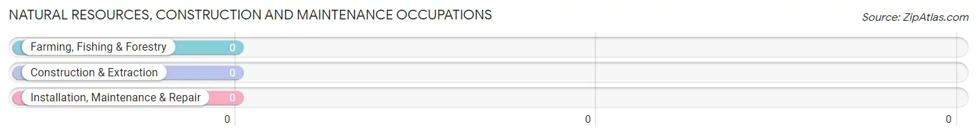 Natural Resources, Construction and Maintenance Occupations in Bolivar