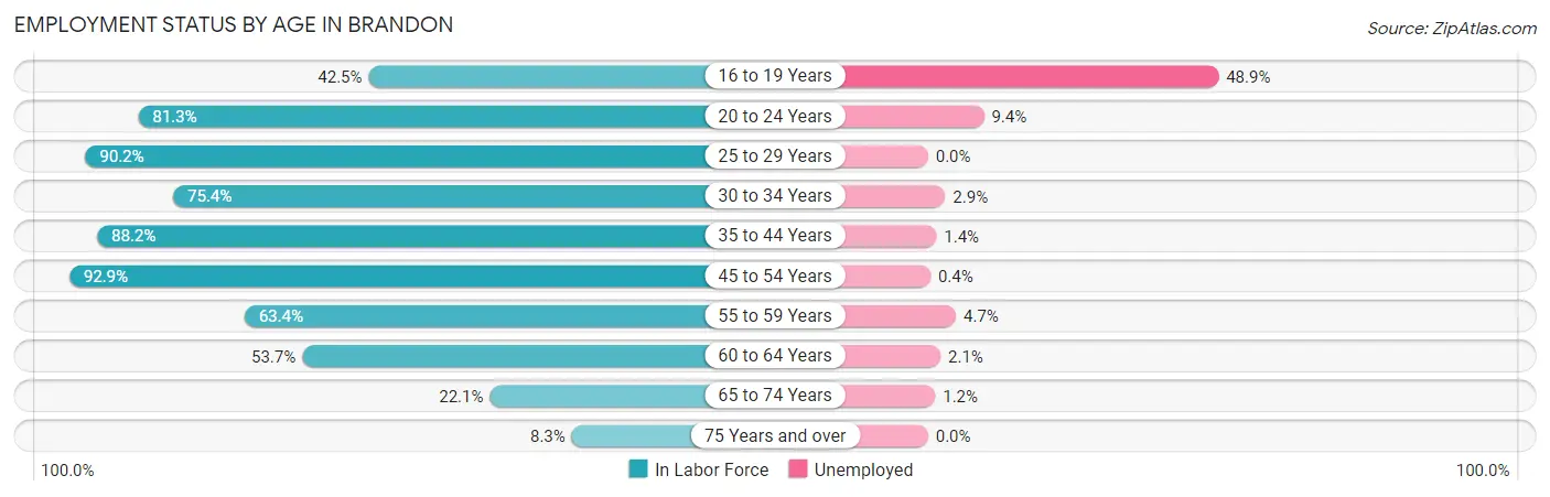 Employment Status by Age in Brandon