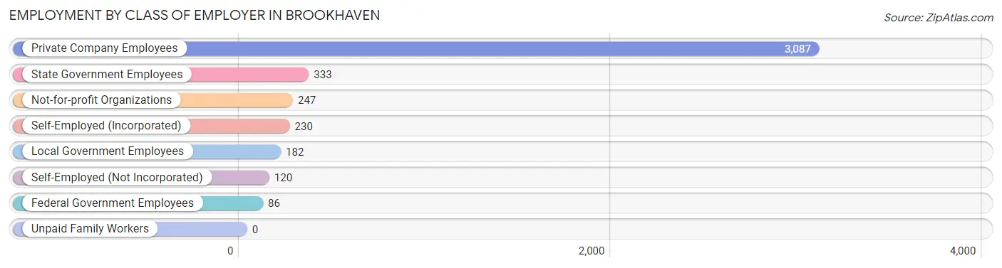 Employment by Class of Employer in Brookhaven