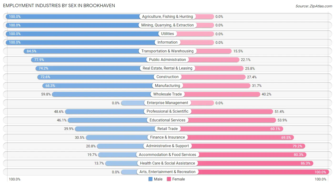 Employment Industries by Sex in Brookhaven