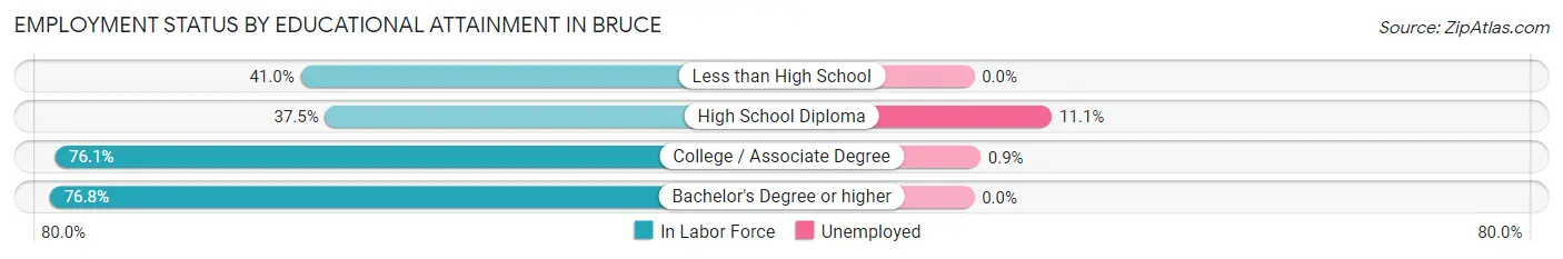 Employment Status by Educational Attainment in Bruce