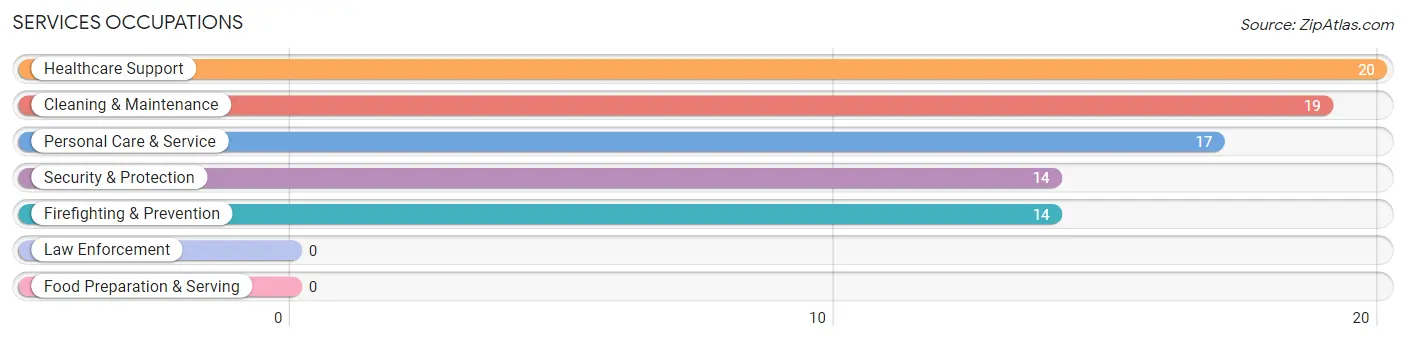 Services Occupations in Burnsville