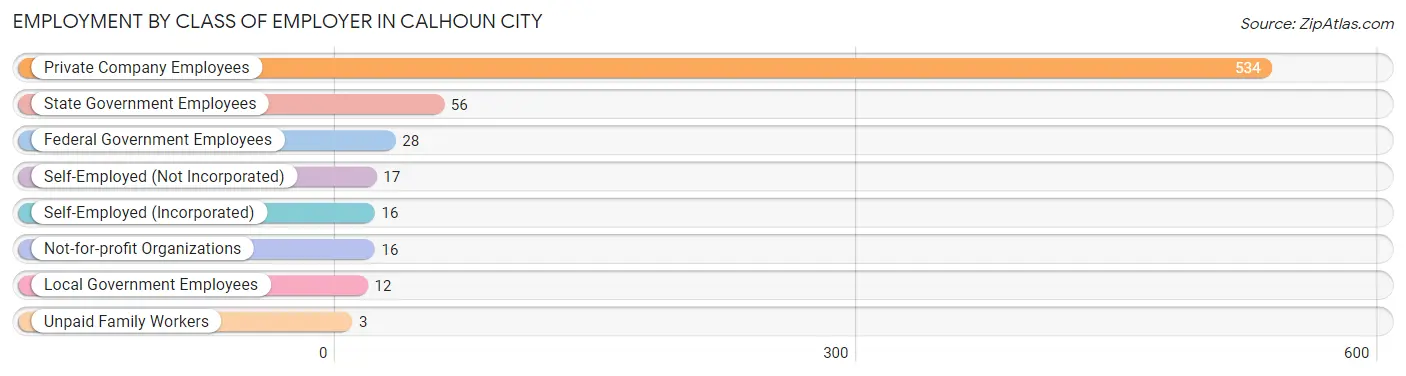 Employment by Class of Employer in Calhoun City