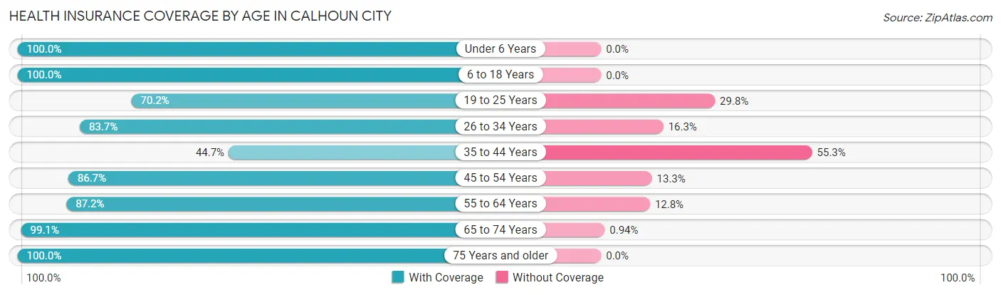 Health Insurance Coverage by Age in Calhoun City