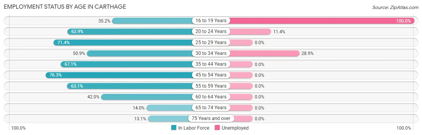 Employment Status by Age in Carthage