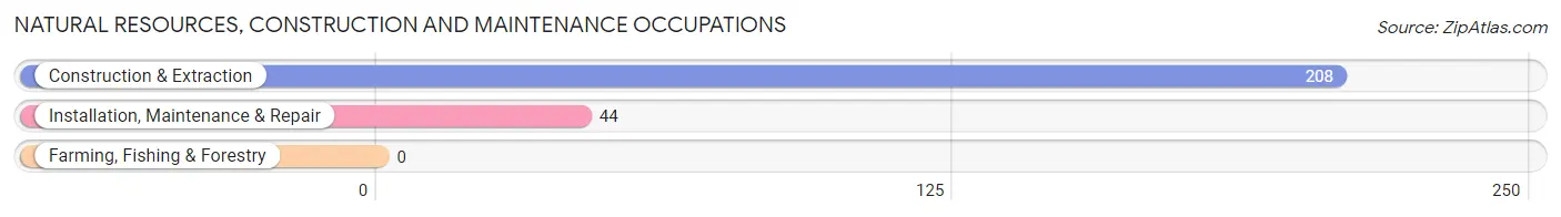 Natural Resources, Construction and Maintenance Occupations in Carthage