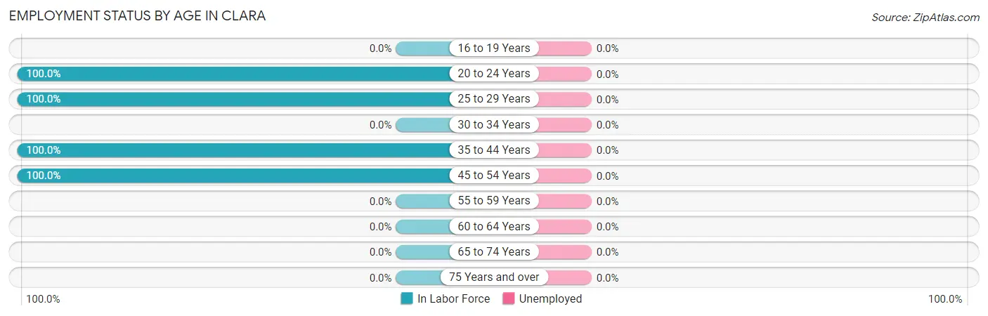 Employment Status by Age in Clara
