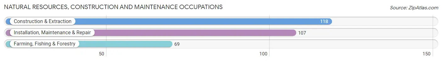 Natural Resources, Construction and Maintenance Occupations in Cleveland