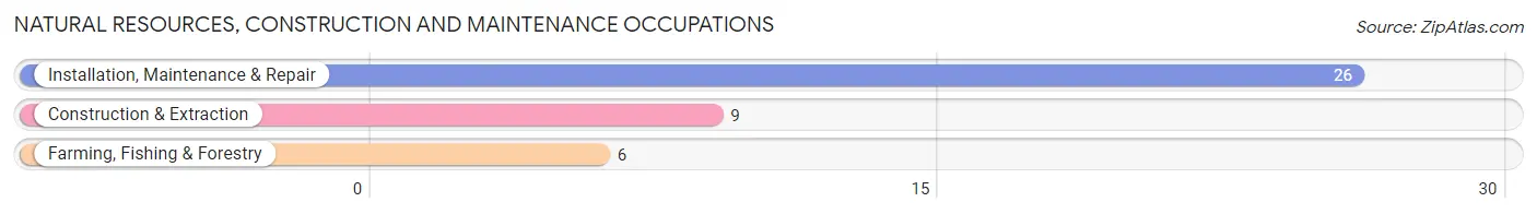 Natural Resources, Construction and Maintenance Occupations in Coldwater