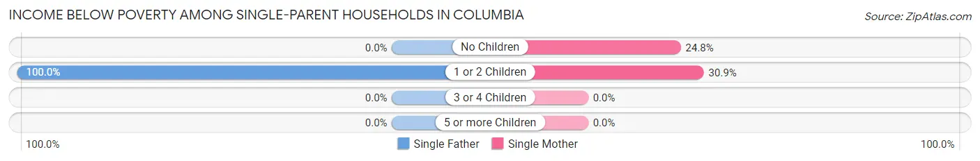 Income Below Poverty Among Single-Parent Households in Columbia