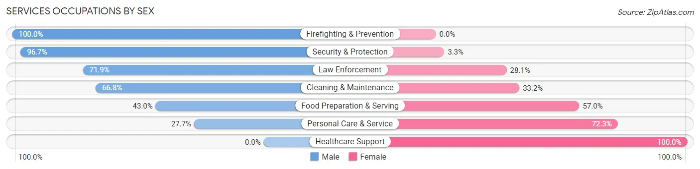 Services Occupations by Sex in D Iberville