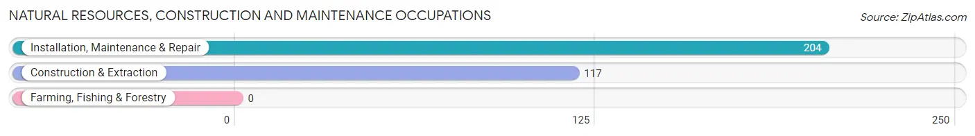 Natural Resources, Construction and Maintenance Occupations in Diamondhead