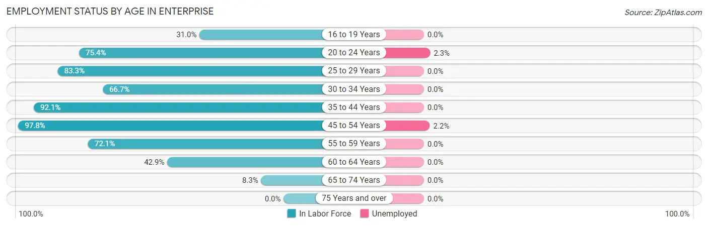 Employment Status by Age in Enterprise