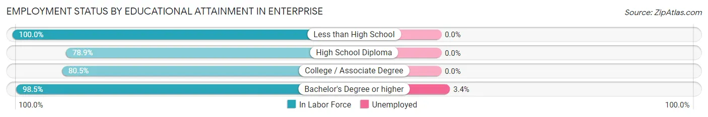Employment Status by Educational Attainment in Enterprise