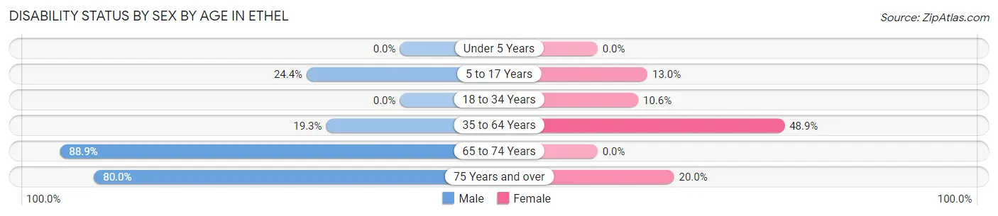 Disability Status by Sex by Age in Ethel