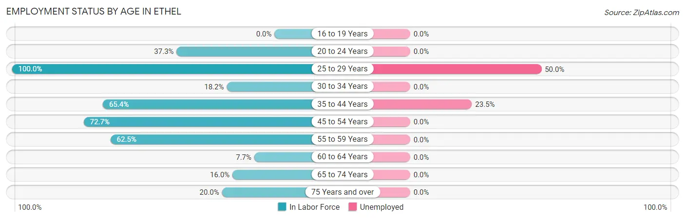 Employment Status by Age in Ethel