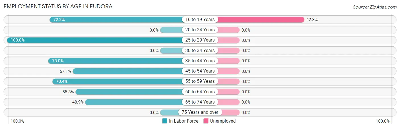 Employment Status by Age in Eudora