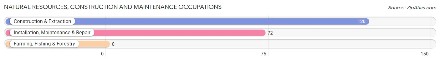 Natural Resources, Construction and Maintenance Occupations in Flowood