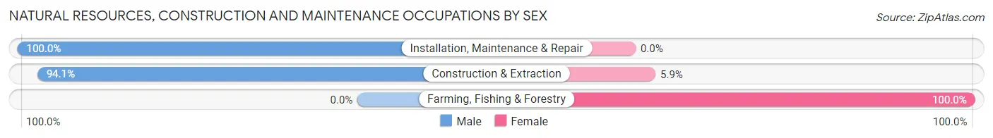 Natural Resources, Construction and Maintenance Occupations by Sex in Forest