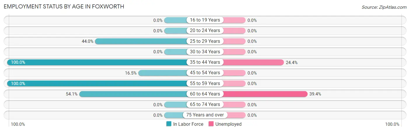 Employment Status by Age in Foxworth