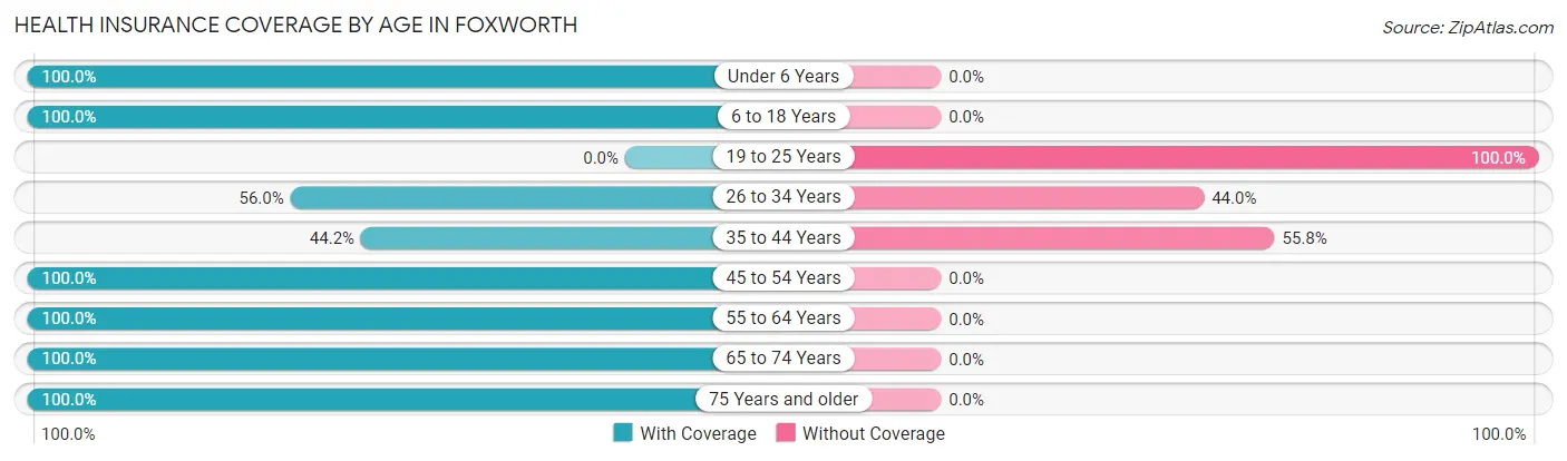Health Insurance Coverage by Age in Foxworth