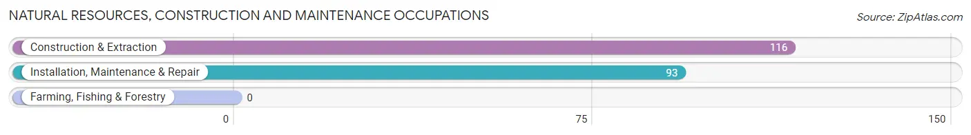 Natural Resources, Construction and Maintenance Occupations in Glendale