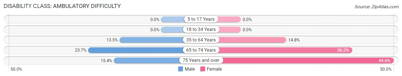 Disability in Gulf Hills: <span>Ambulatory Difficulty</span>