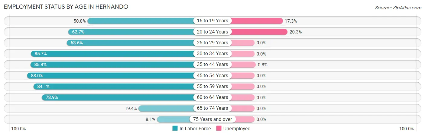 Employment Status by Age in Hernando